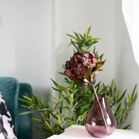 Apartmán Velvet Luxury In The Center By Binobi! Soluň