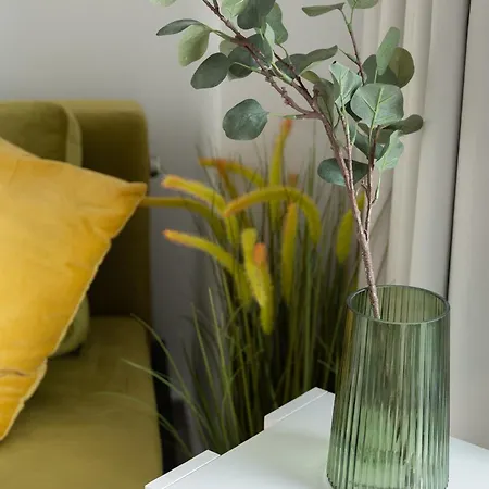 Velvet Luxury In The Center By Binobi! * Soluň